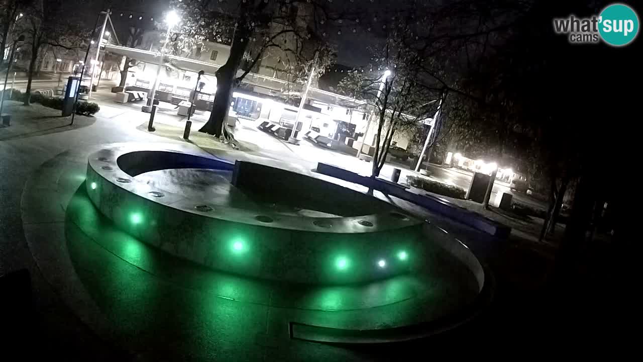 Fontana di birra Webcam – Oro verde – Žalec