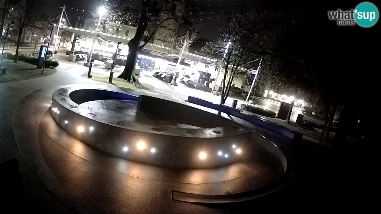 Fontaine à bière LIVE webcam – Or vert – Žalec