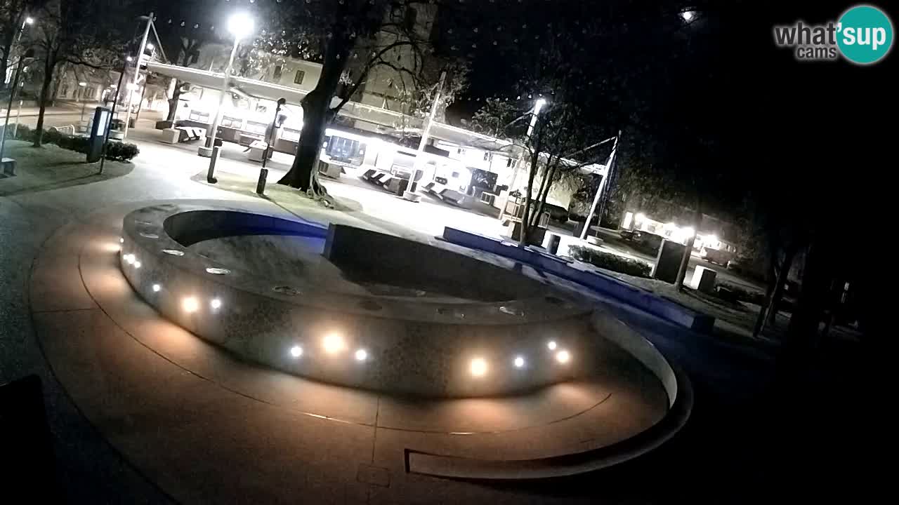 Bier-Springbrunnen Webcam Žalec – Grünen Goldes