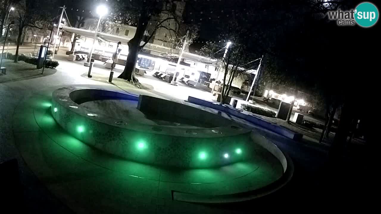 Fontana di birra Webcam – Oro verde – Žalec