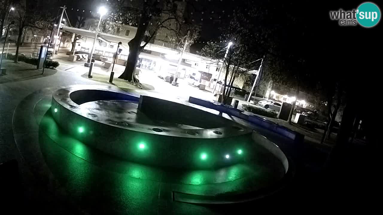 Spletna kamera Fontana Piv – Zeleno zlato Žalec