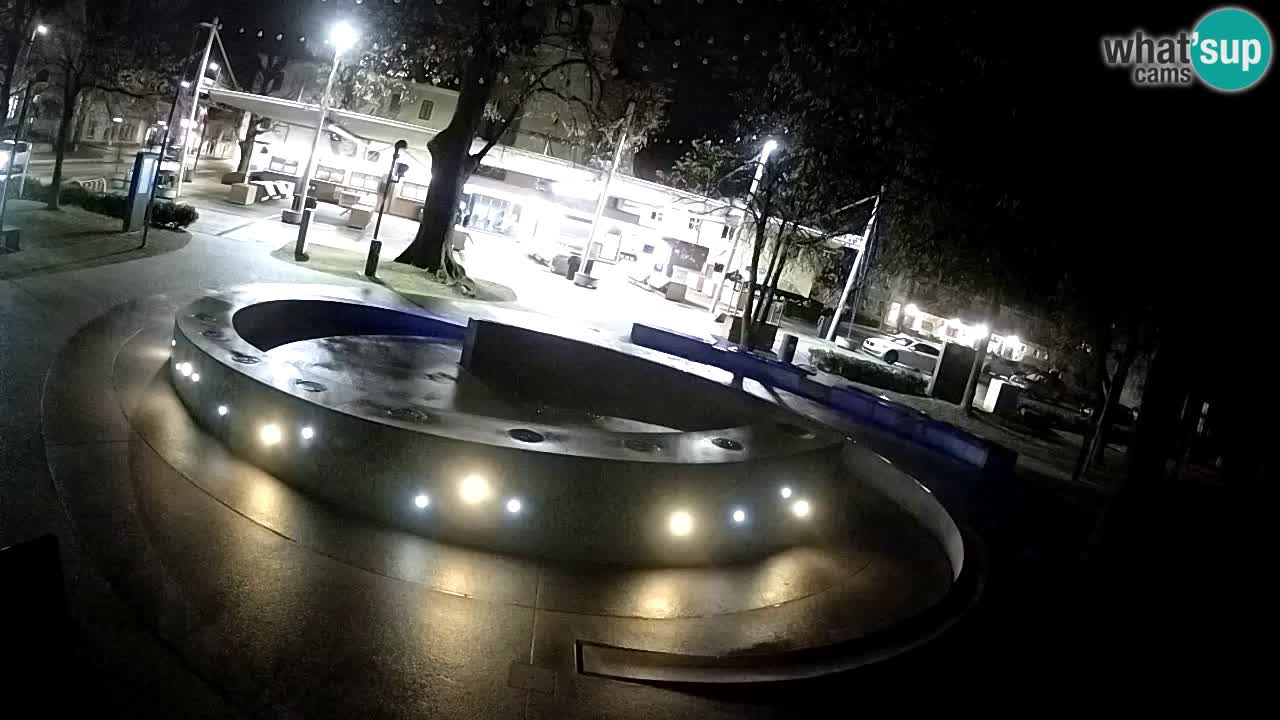 Camera en vivo Fuente de cerveza – Oro verde – Žalec