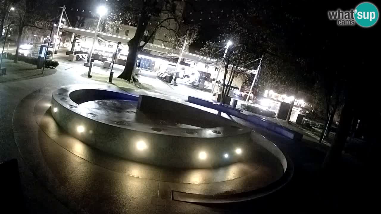 Bier-Springbrunnen Webcam Žalec – Grünen Goldes