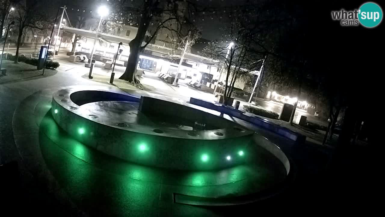 Web kamera Fontana piva – Zeleno zlato – Žalec