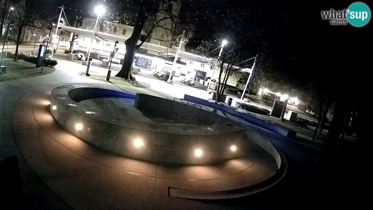Fontana di birra Webcam – Oro verde – Žalec