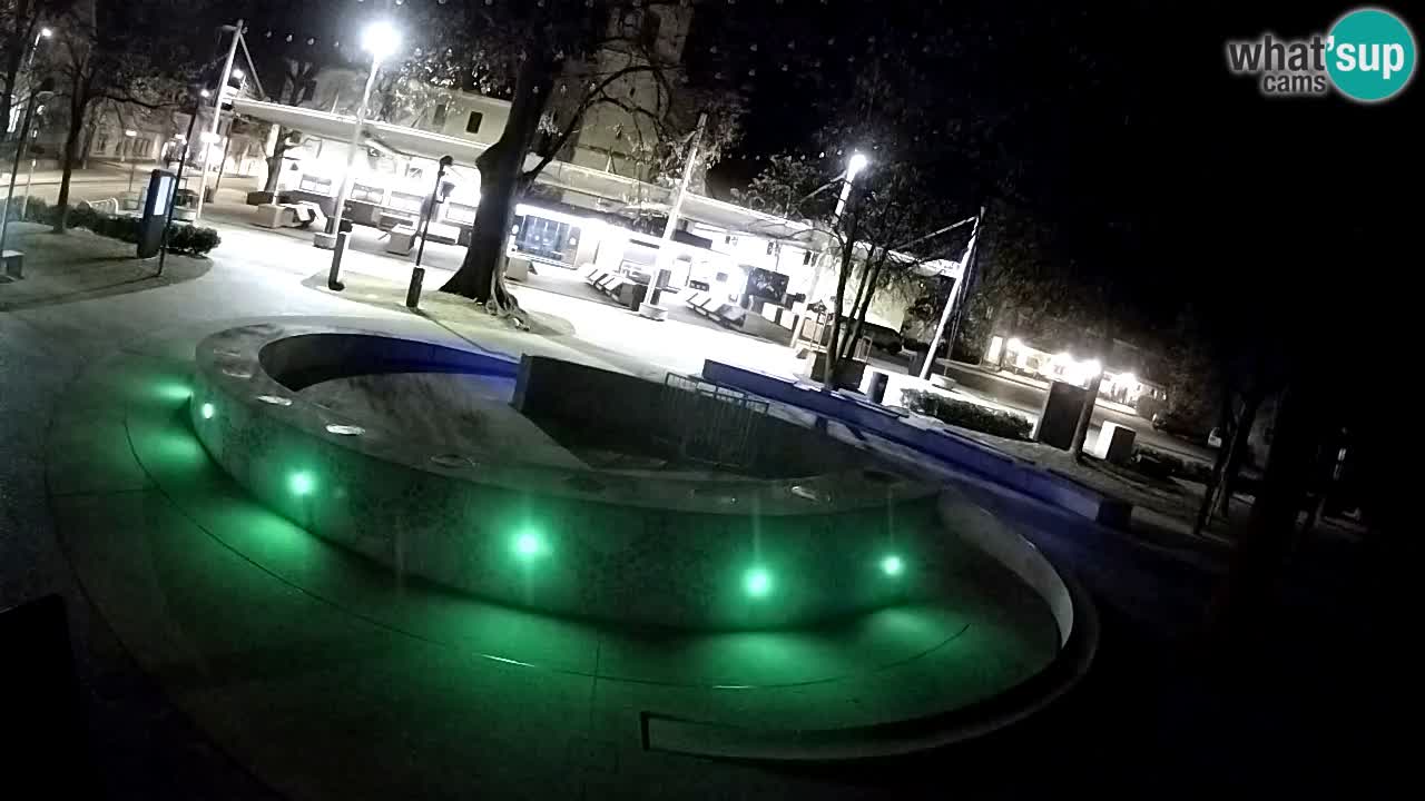 Fontaine à bière LIVE webcam – Or vert – Žalec