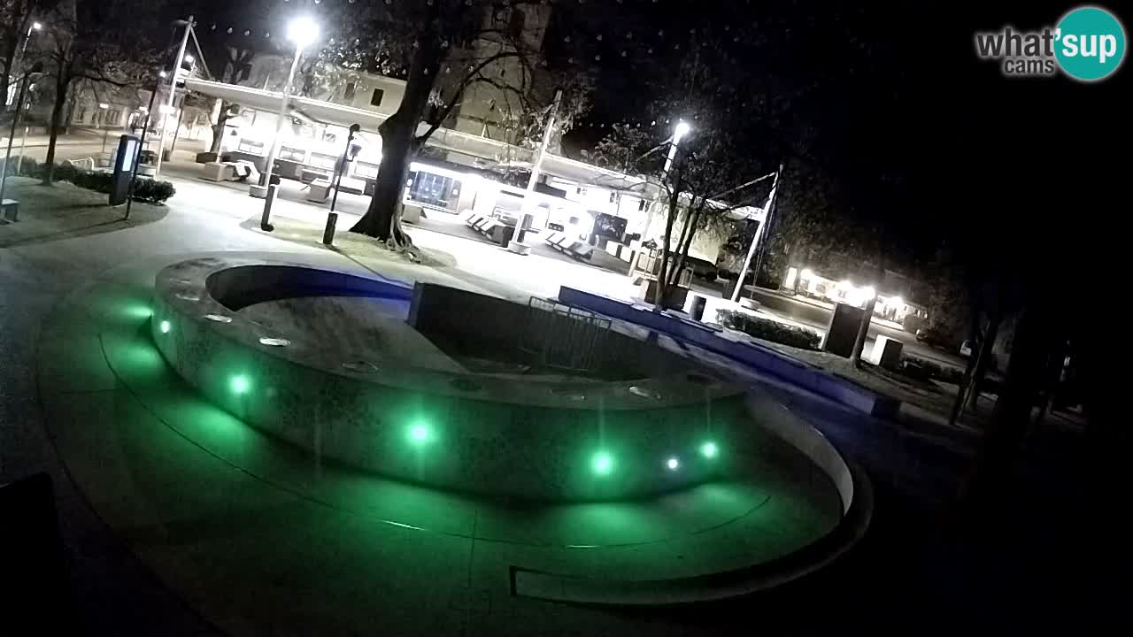 Fontana di birra Webcam – Oro verde – Žalec