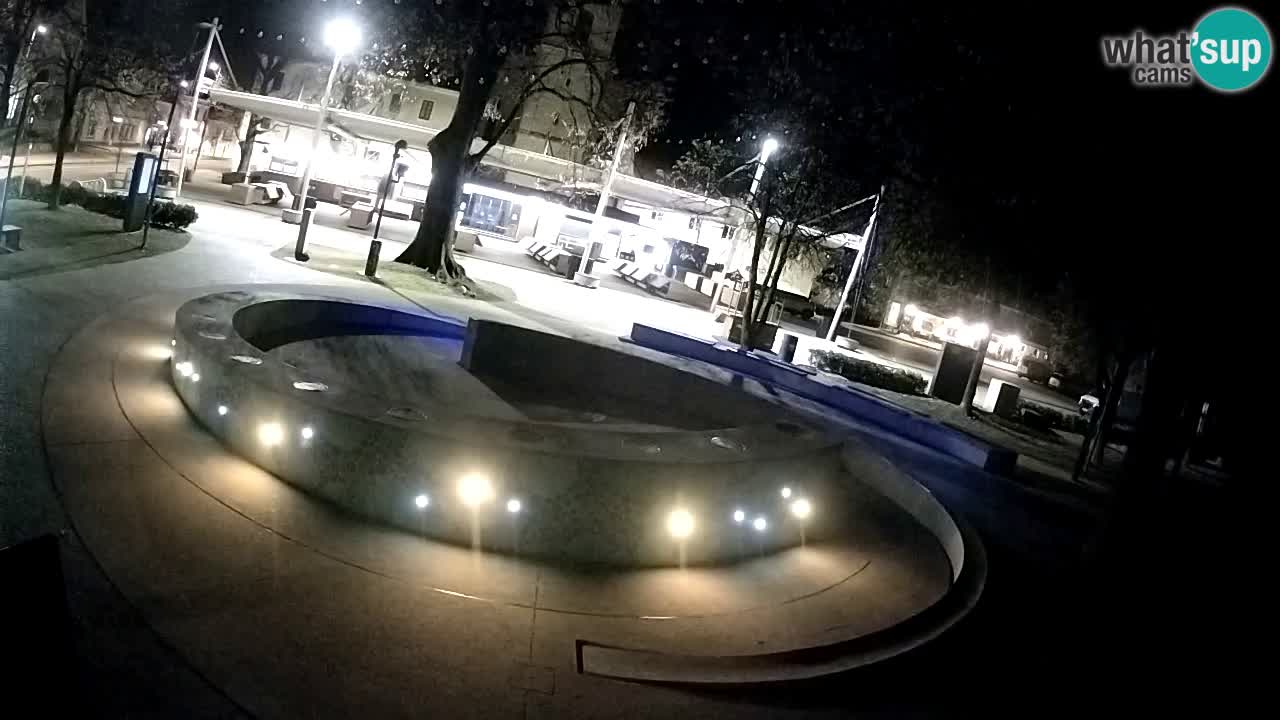 Fontana di birra Webcam – Oro verde – Žalec