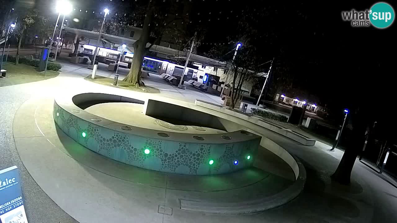 Fontaine à bière LIVE webcam – Or vert – Žalec