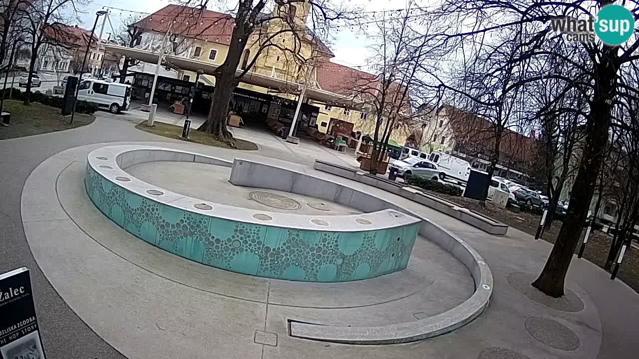 Fontaine à bière LIVE webcam – Or vert – Žalec