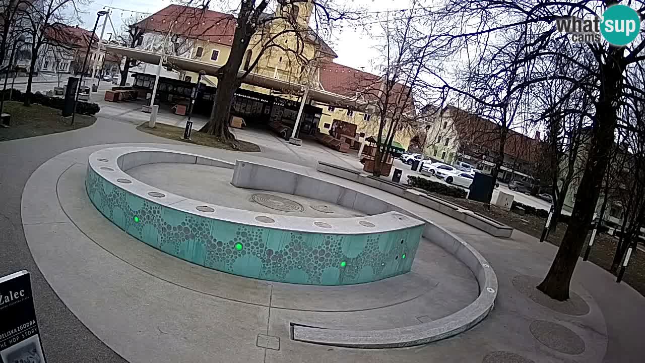 Fontaine à bière LIVE webcam – Or vert – Žalec