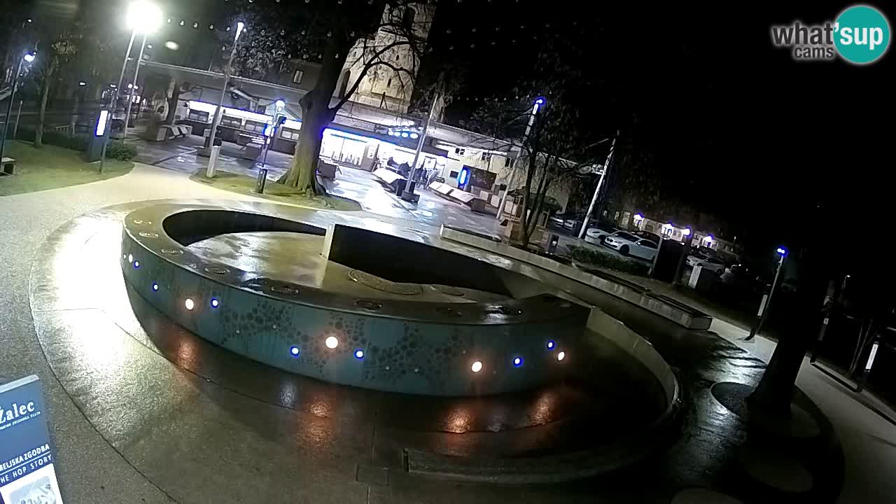 Spletna kamera Fontana Piv – Zeleno zlato Žalec