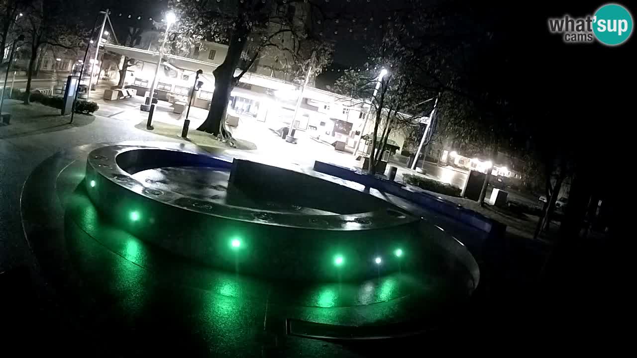 Bier-Springbrunnen Webcam Žalec – Grünen Goldes