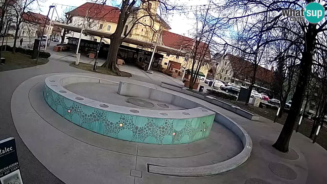 Bier-Springbrunnen Webcam Žalec – Grünen Goldes