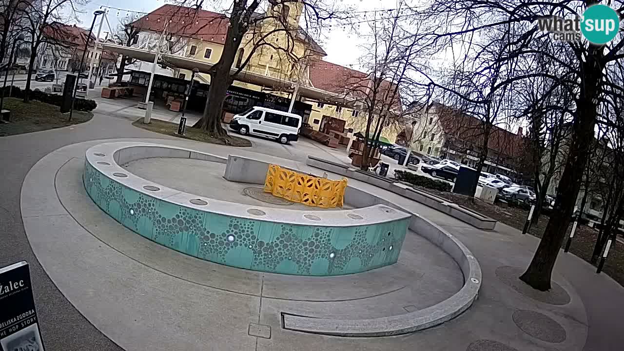 Fontaine à bière LIVE webcam – Or vert – Žalec