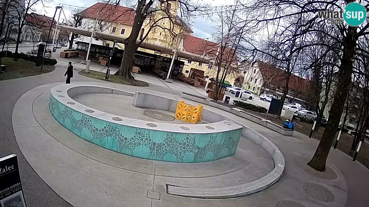 Bier-Springbrunnen Webcam Žalec – Grünen Goldes