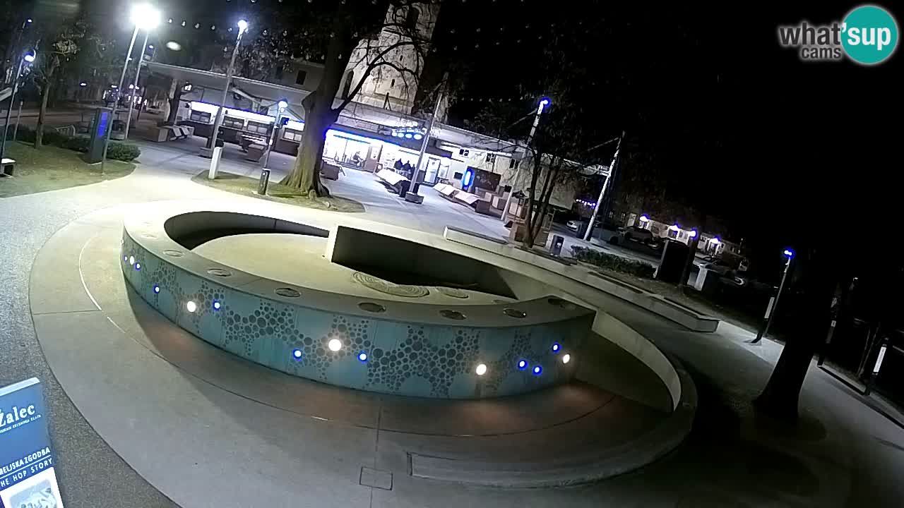Bier-Springbrunnen Webcam Žalec – Grünen Goldes