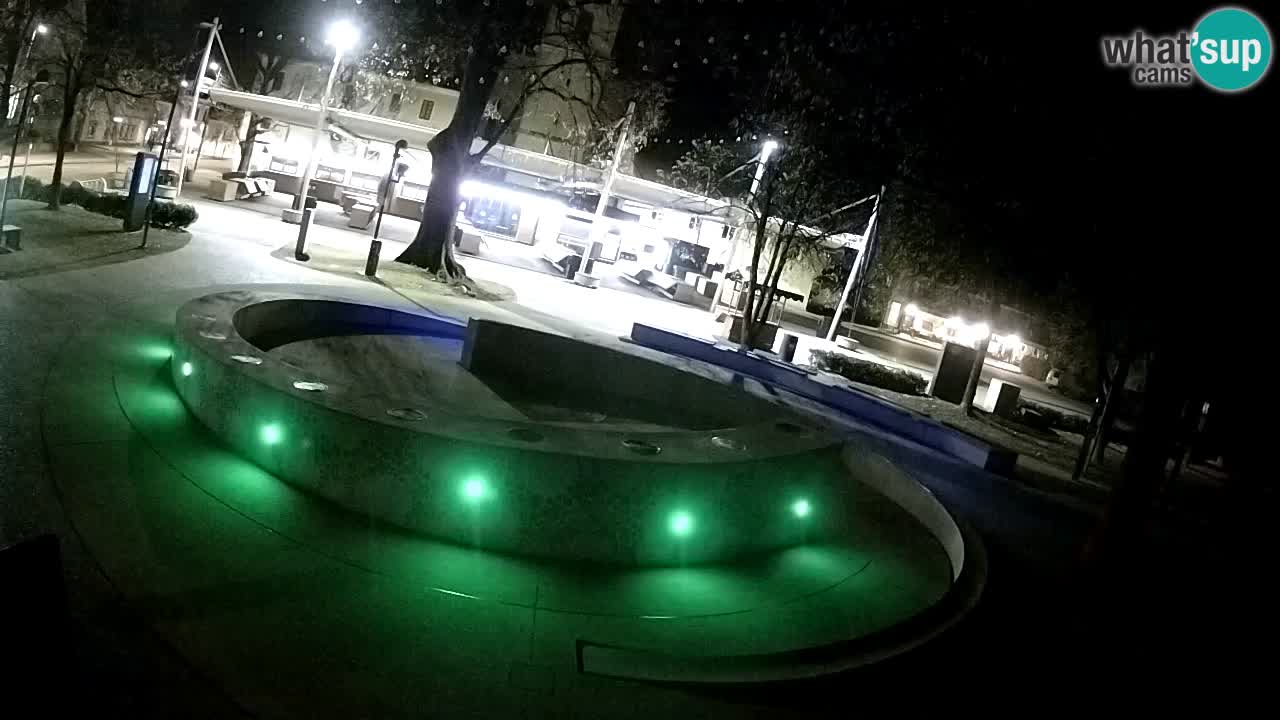 Fontaine à bière LIVE webcam – Or vert – Žalec