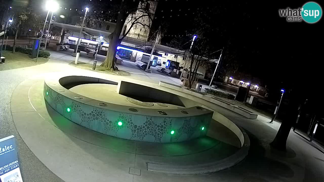 Fontaine à bière LIVE webcam – Or vert – Žalec