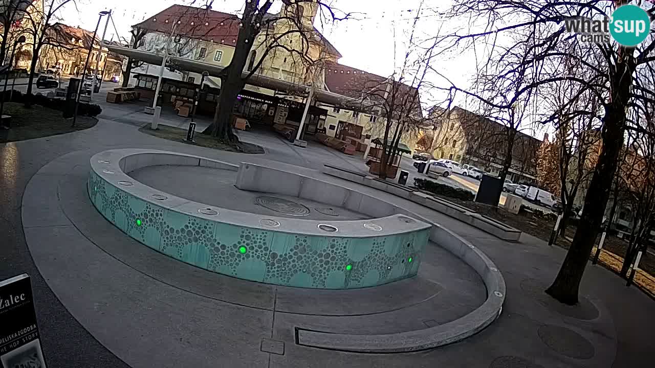 Spletna kamera Fontana Piv – Zeleno zlato Žalec