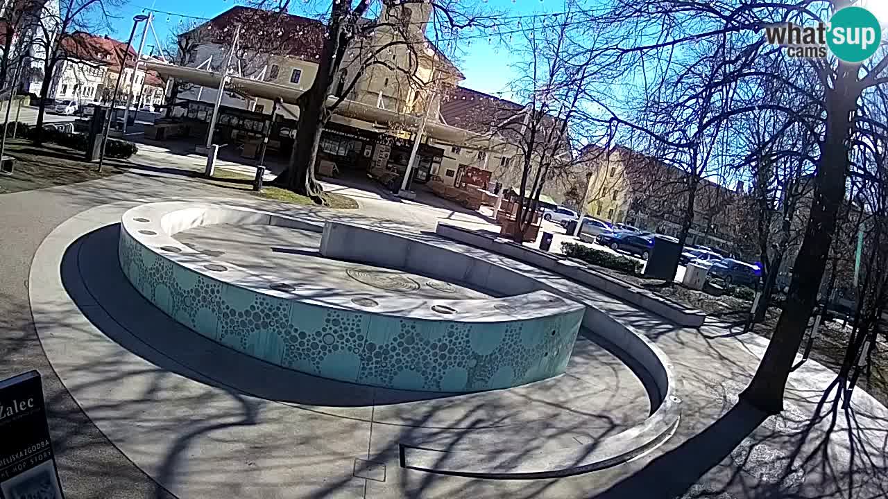 Fontana di birra Webcam – Oro verde – Žalec