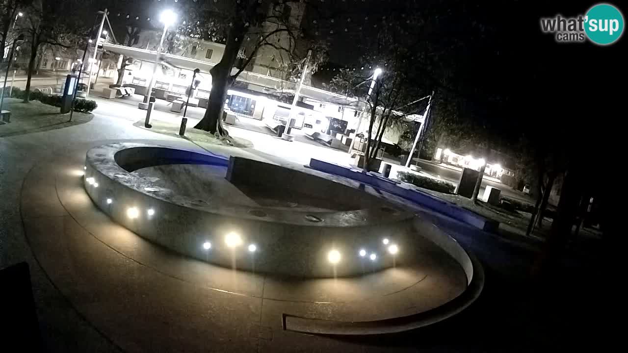 Fontana di birra Webcam – Oro verde – Žalec