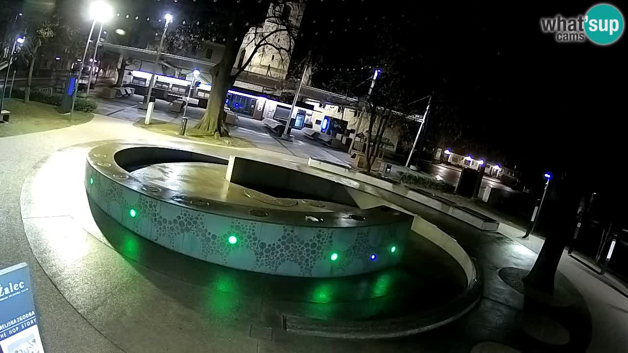 Bier-Springbrunnen Webcam Žalec – Grünen Goldes