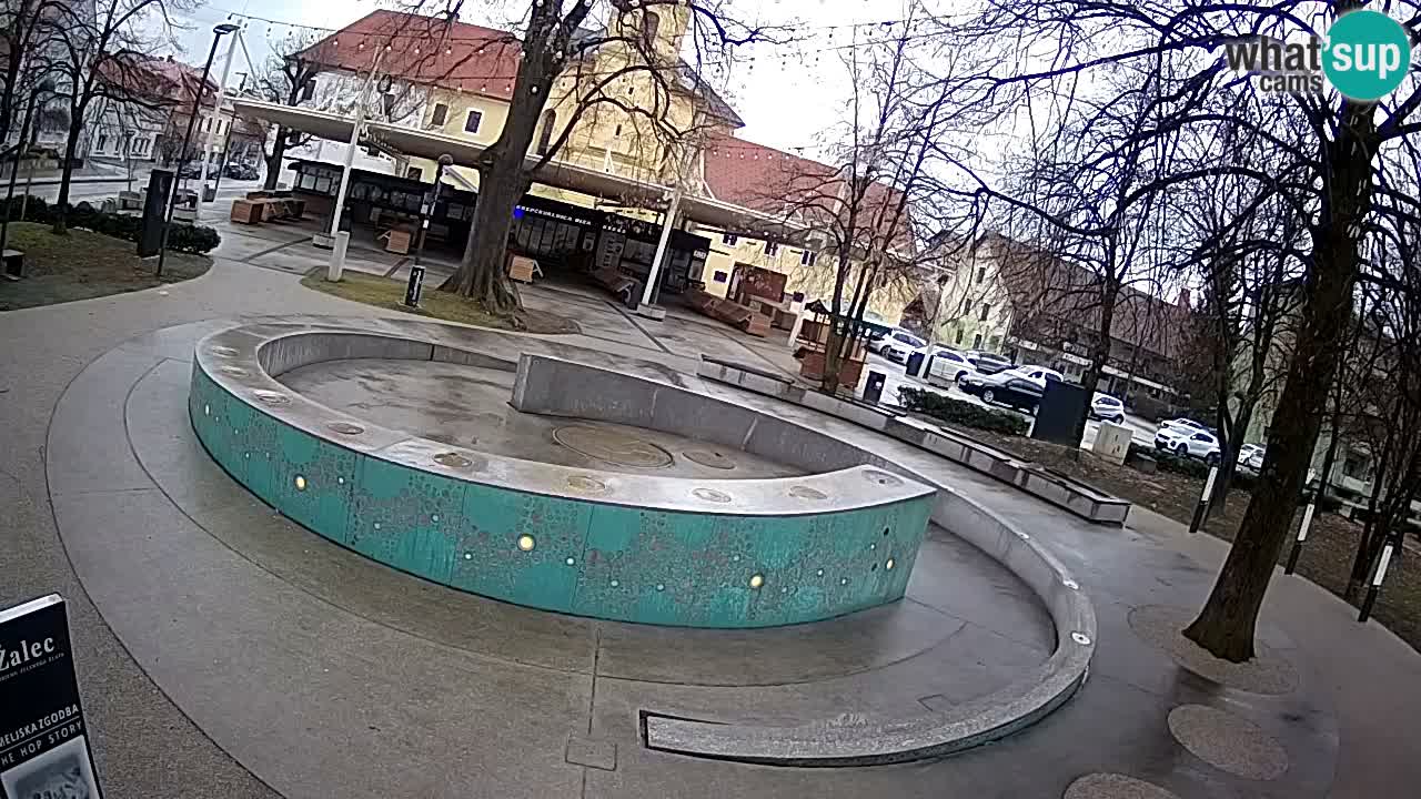 Web kamera Fontana piva – Zeleno zlato – Žalec