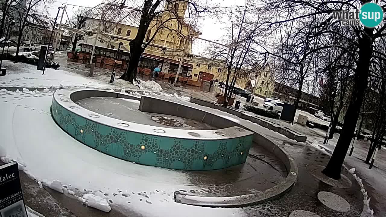 Bier-Springbrunnen Webcam Žalec – Grünen Goldes