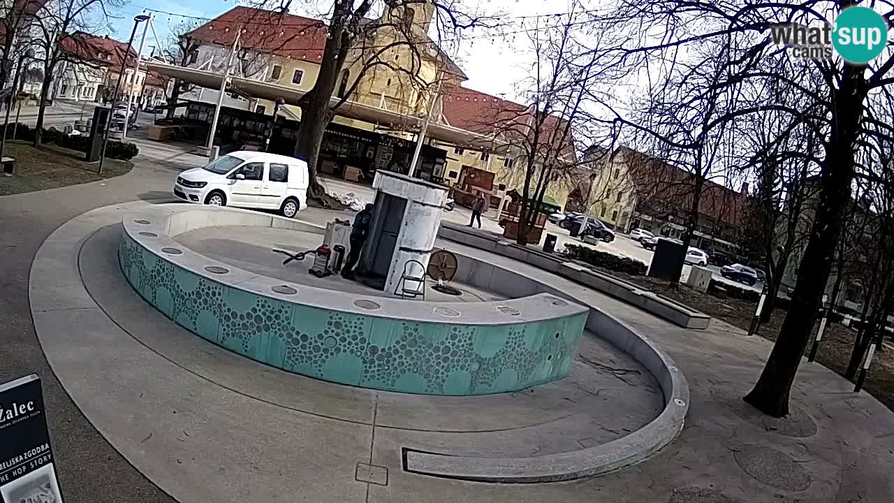 Fontaine à bière LIVE webcam – Or vert – Žalec