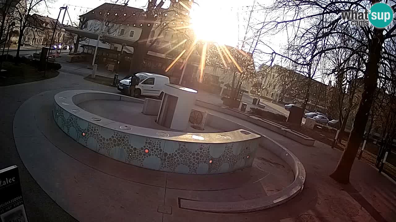 Fontana di birra Webcam – Oro verde – Žalec