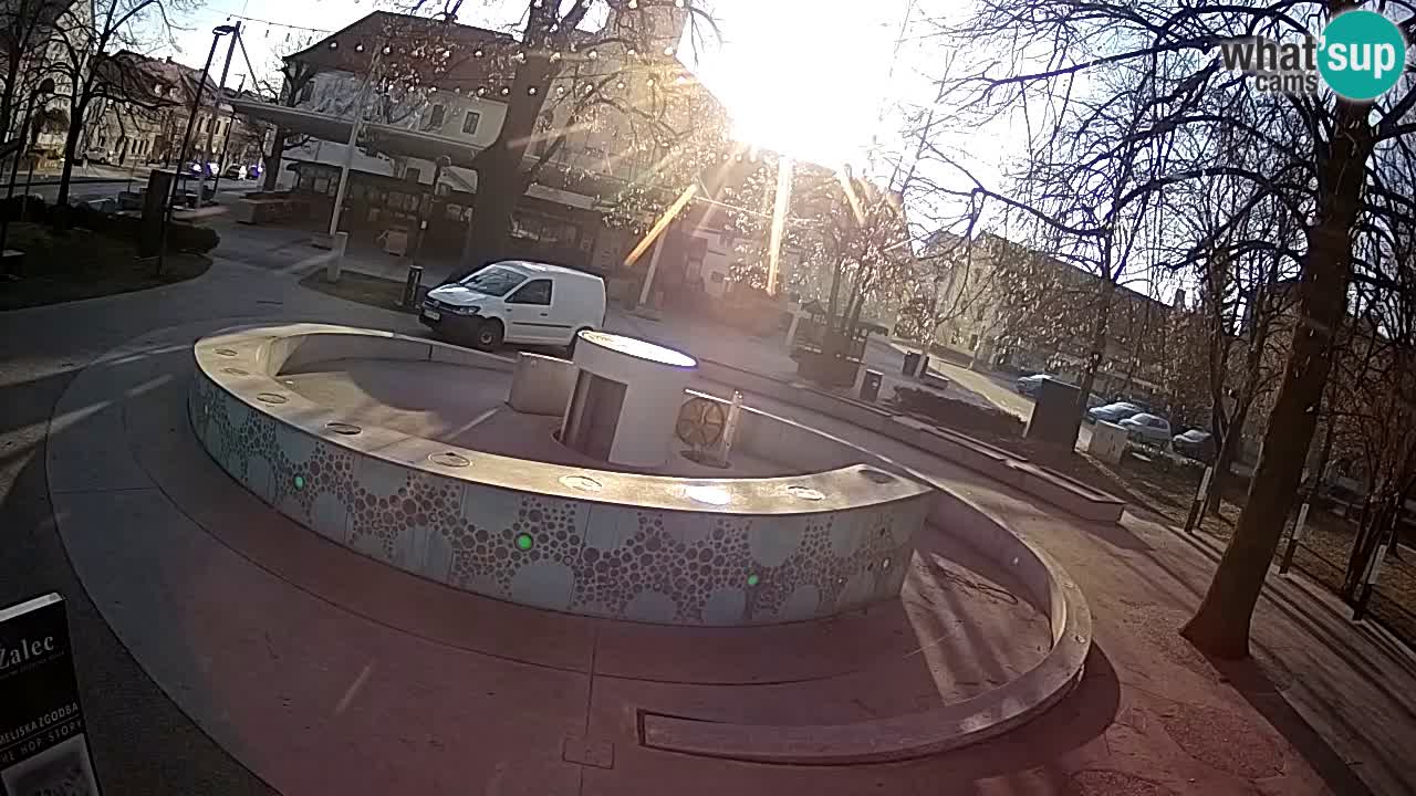 Web kamera Fontana piva – Zeleno zlato – Žalec