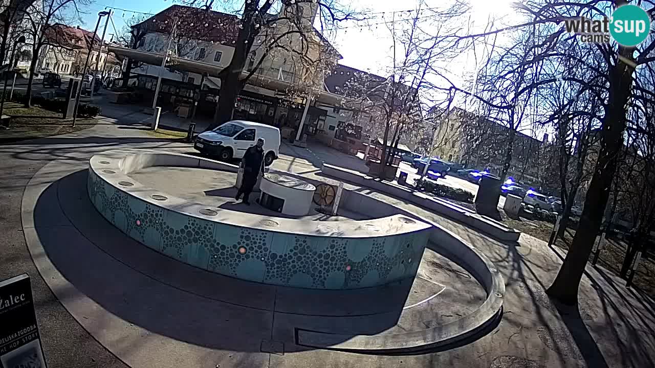 Fontana di birra Webcam – Oro verde – Žalec