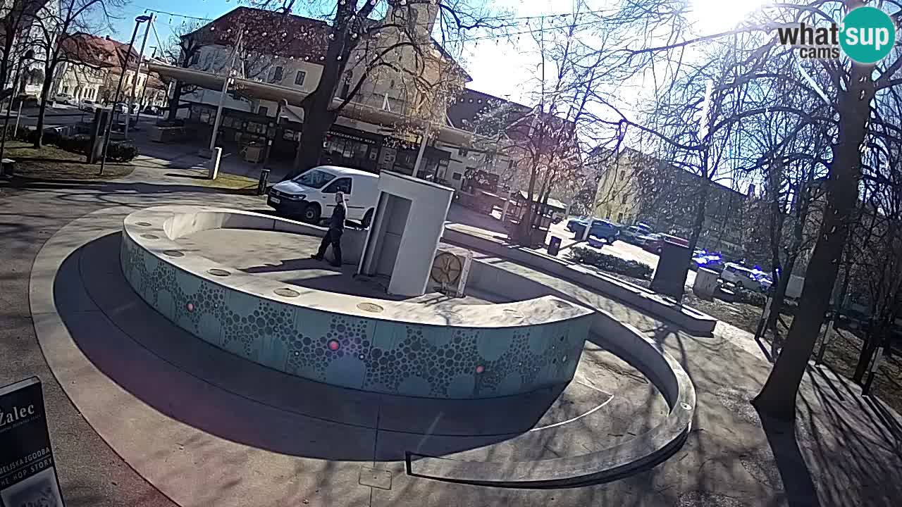 Web kamera Fontana piva – Zeleno zlato – Žalec