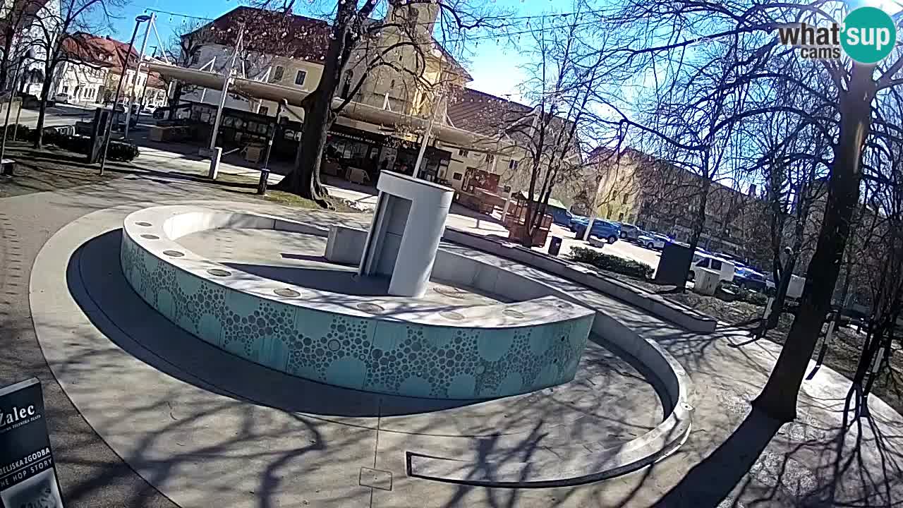 Bier-Springbrunnen Webcam Žalec – Grünen Goldes