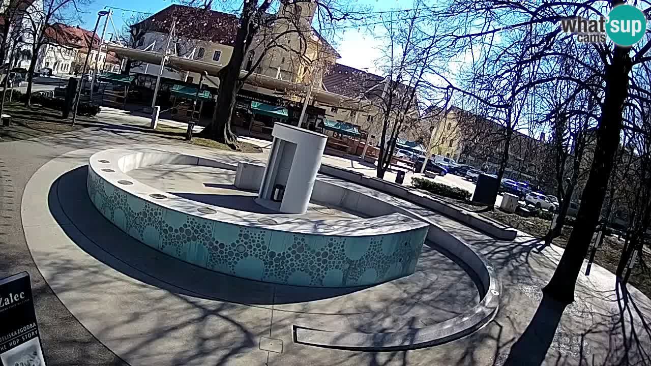 Spletna kamera Fontana Piv – Zeleno zlato Žalec