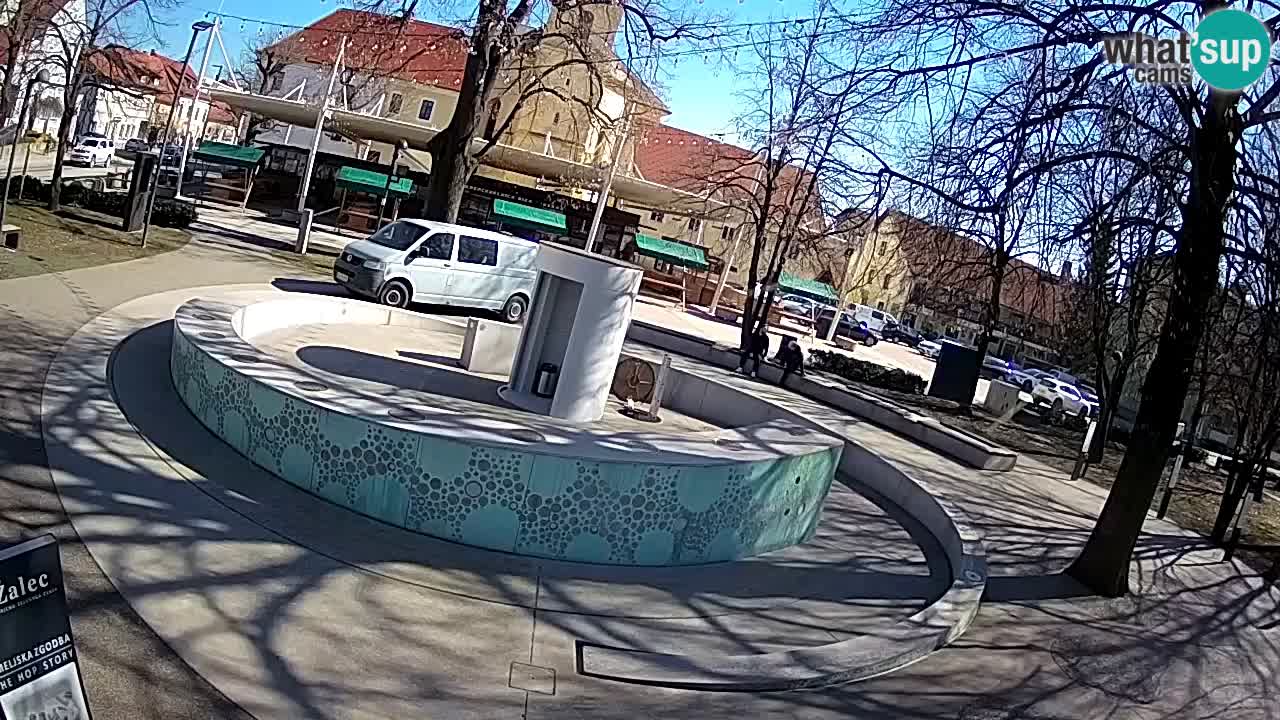 Fontana di birra Webcam – Oro verde – Žalec