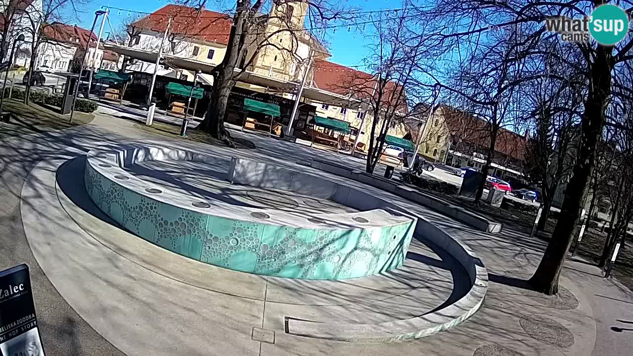 Spletna kamera Fontana Piv – Zeleno zlato Žalec