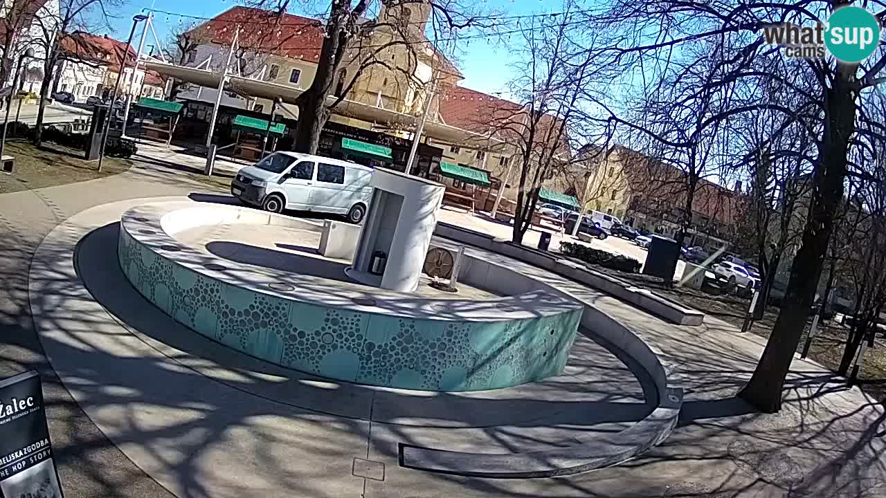 Spletna kamera Fontana Piv – Zeleno zlato Žalec