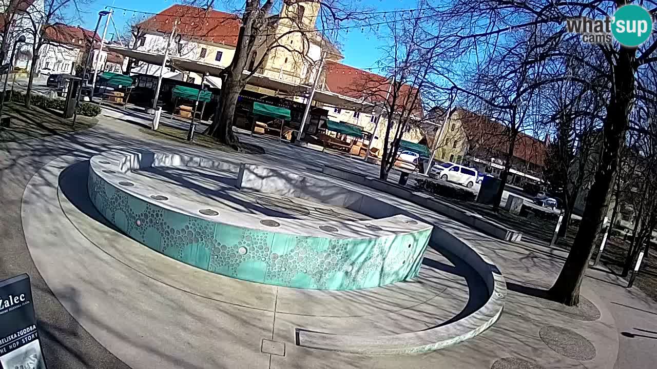 Spletna kamera Fontana Piv – Zeleno zlato Žalec