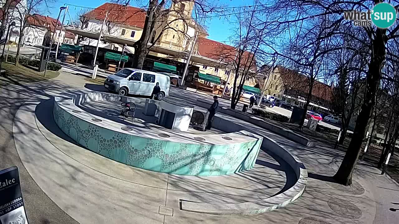 Camera en vivo Fuente de cerveza – Oro verde – Žalec