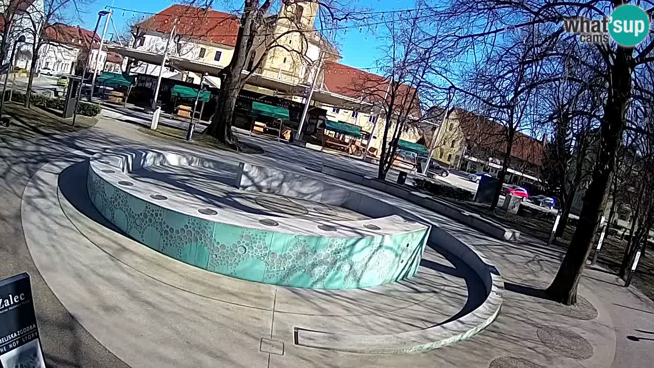 Camera en vivo Fuente de cerveza – Oro verde – Žalec