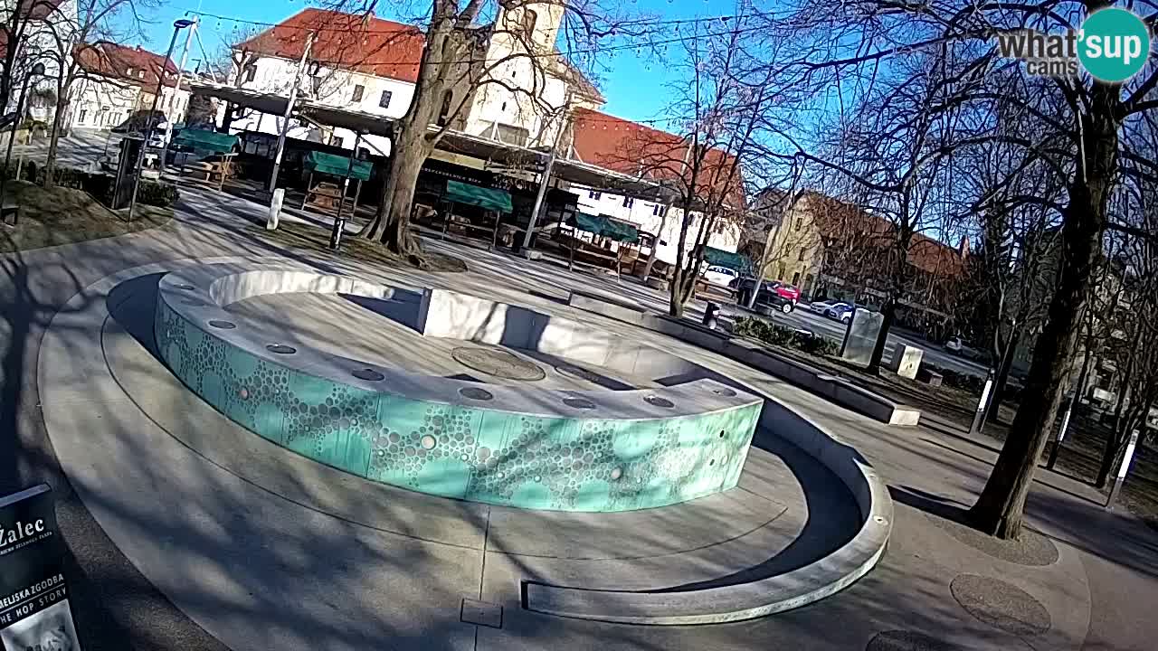 Camera en vivo Fuente de cerveza – Oro verde – Žalec