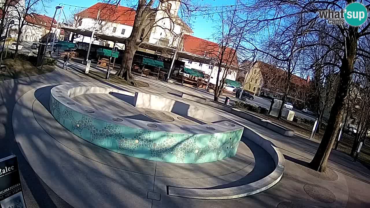 Bier-Springbrunnen Webcam Žalec – Grünen Goldes