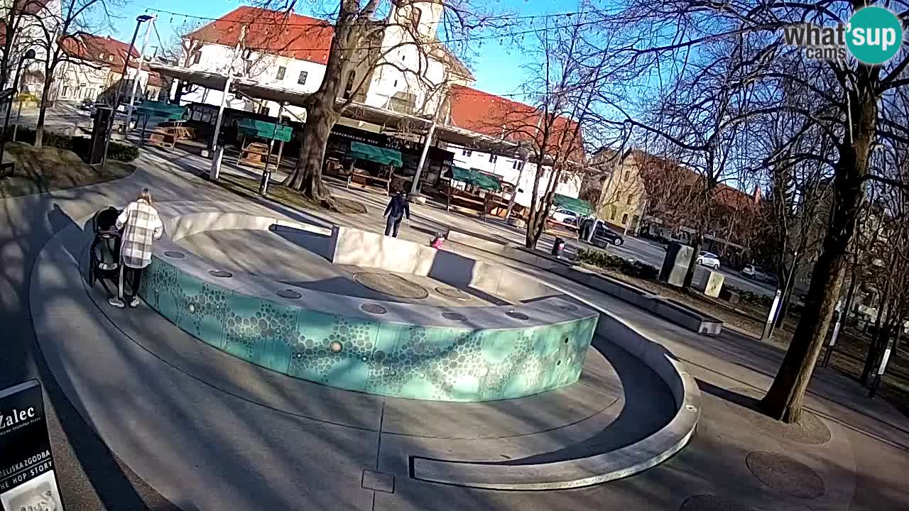 Fontana di birra Webcam – Oro verde – Žalec