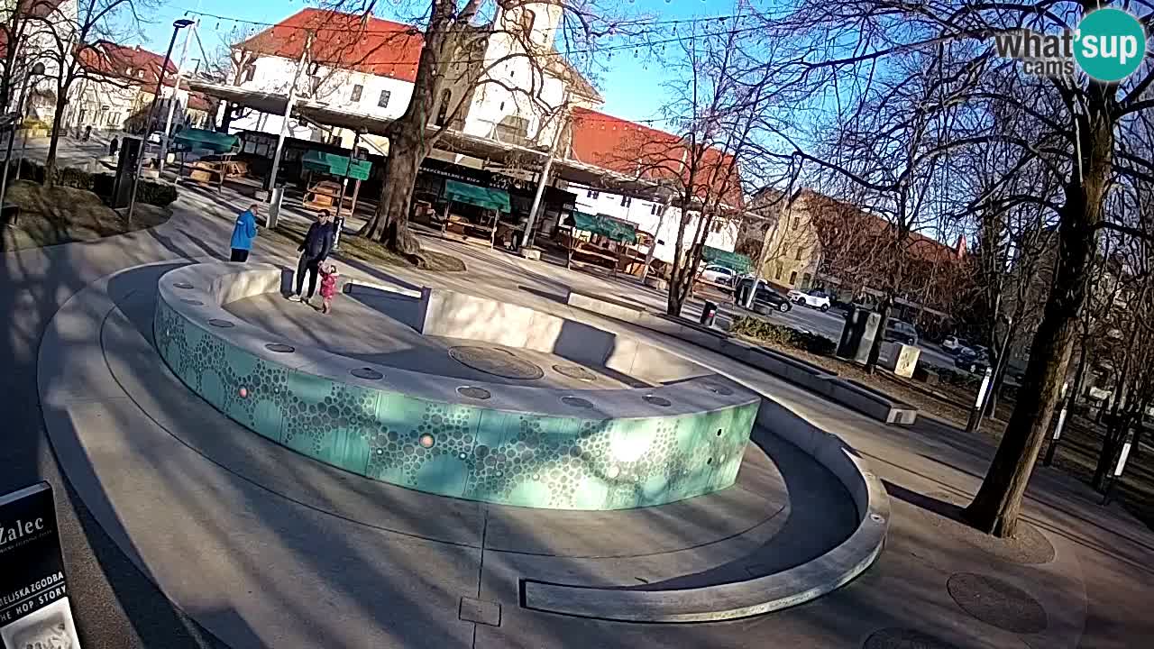 Web kamera Fontana piva – Zeleno zlato – Žalec