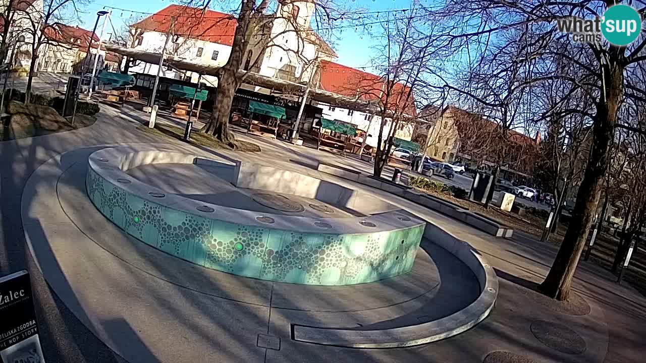 Spletna kamera Fontana Piv – Zeleno zlato Žalec