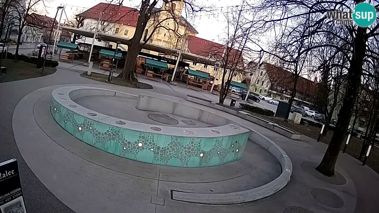 Camera en vivo Fuente de cerveza – Oro verde – Žalec