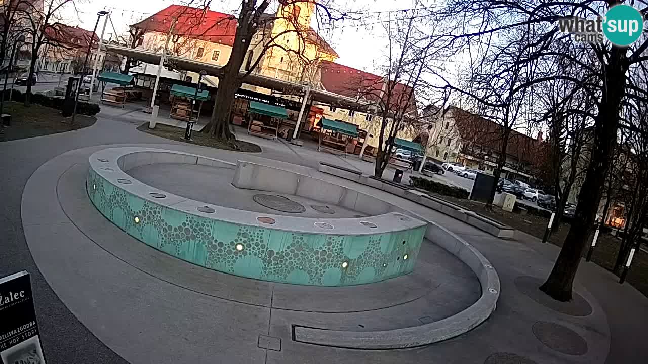 Fontana di birra Webcam – Oro verde – Žalec