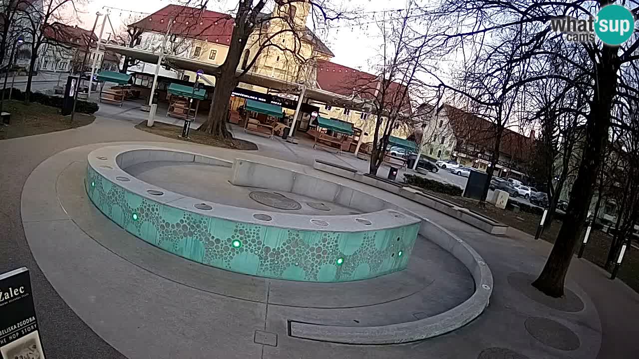 Bier-Springbrunnen Webcam Žalec – Grünen Goldes